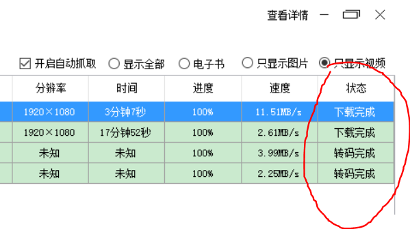 马赛克视频嗅探助手